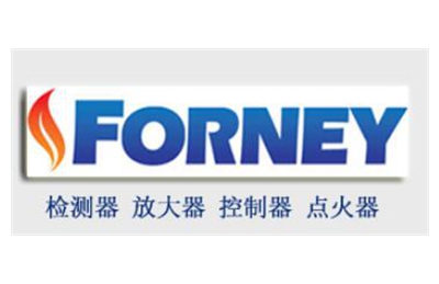 福尼FORNEY火检探头